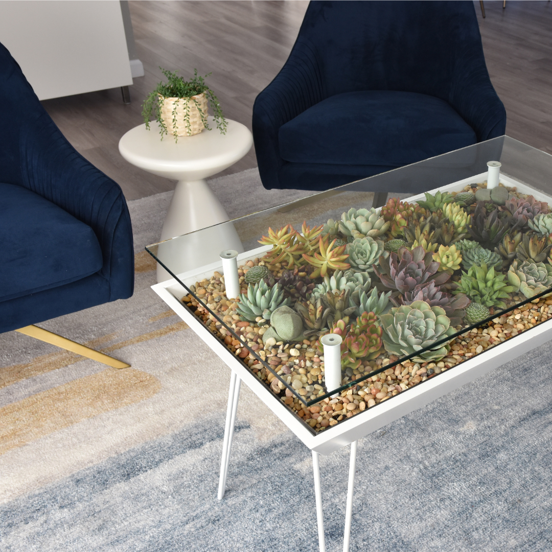 succulent glass coffee table BloomingTables Coffee Table