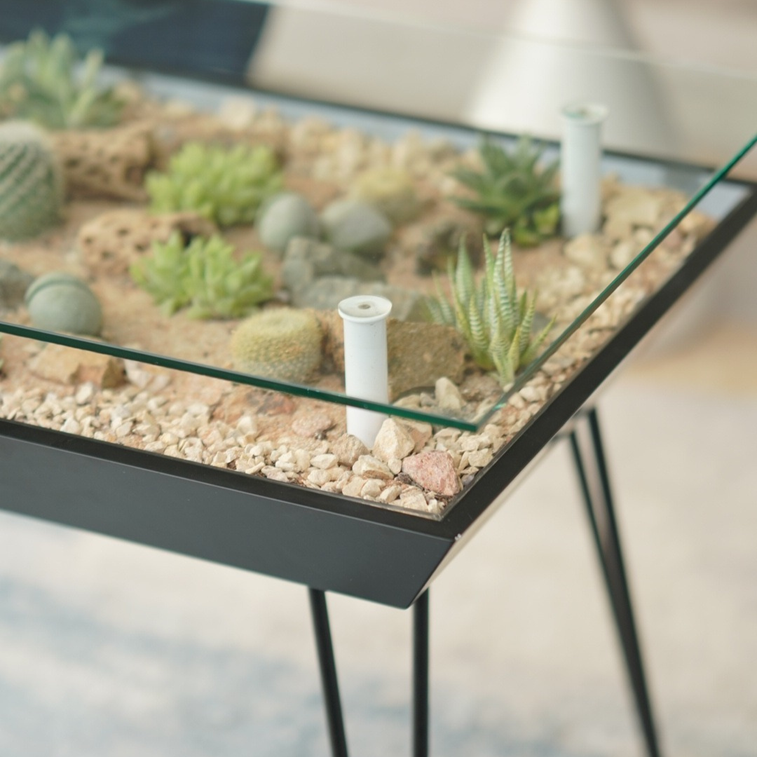 blooming table for succulents BloomingTables Coffee Table – Wyld Jungle