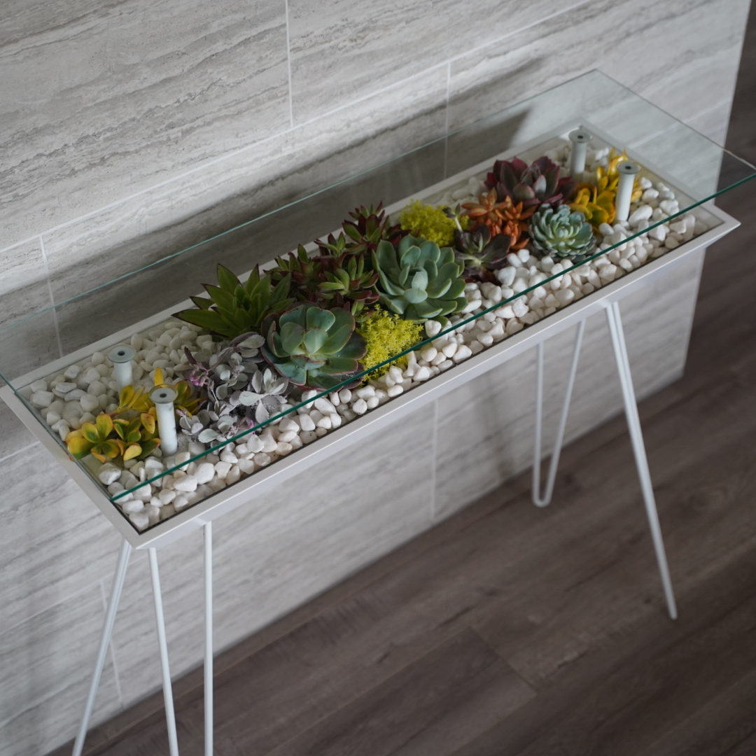 succulent glass table Entryway Table – Wyld Jungle