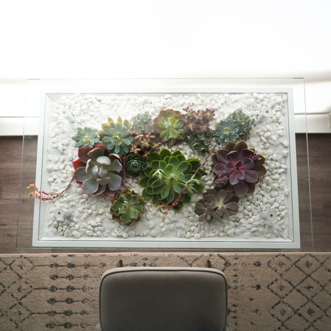 succulents desk BloomingTables Desk – Wyld Jungle
